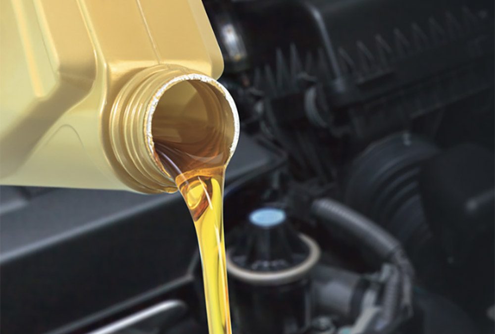 Virgin Fuels Newsletter – August 2022