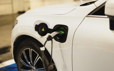 Virgin Fuels Newsletter – September 2023