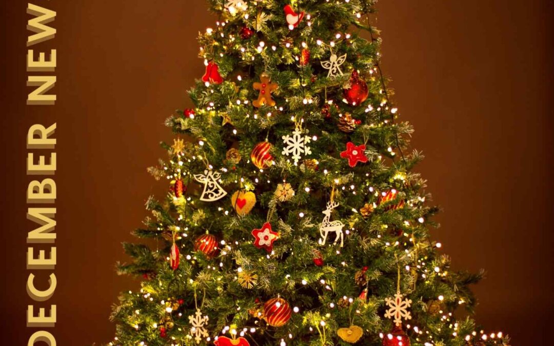 Virgin Fuels Newsletter – December 2025