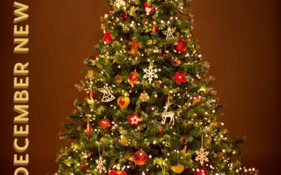 Virgin Fuels Newsletter – December 2025
